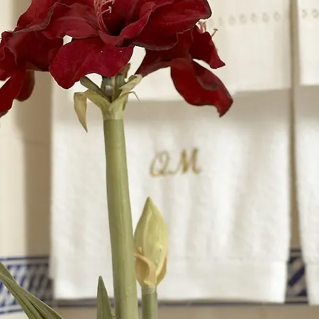 Quinta De Malta Βίλα
